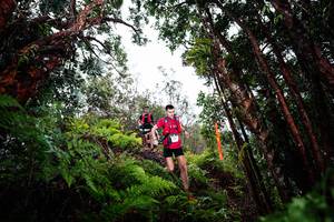 BIB: 
                            <button type="button" onclick="openModal(26202519)" class="btn btn-primary btn-sm float-right btn-popup" data-toggle="modal" data-target=".modal-high-quality">
                        <i class="fas fa-shopping-cart"></i> Add to Cart
                    </button>
                                            <button type="button" onclick="isThisMe(26202519, true)" class="btn btn-success btn-sm float-right btn-popup btn-isme hidden" data-toggle="tooltip" data-placement="bottom" title="นี่คือรูปของคุณใช่ไหม คลิกที่นี่เพื่อเอาเข้าอัลบั้ม">
                        <i class="fas fa-plus"></i> Add to album
                    </button>
                    <button type="button" onclick="isThisMe(26202519, false)" class="btn btn-warning btn-sm float-right btn-popup btn-isnotme hidden">
                        <i class="fas fa-ban"></i> Remove from album
                    </button>